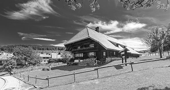 orologio a cucù - chalet - Heidi - Kuckucksuhren Shop - Original  Kuckucksuhren aus dem Schwarzwald